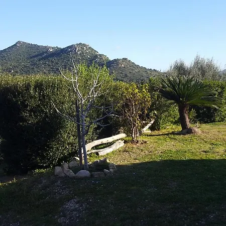 Del Gallo *