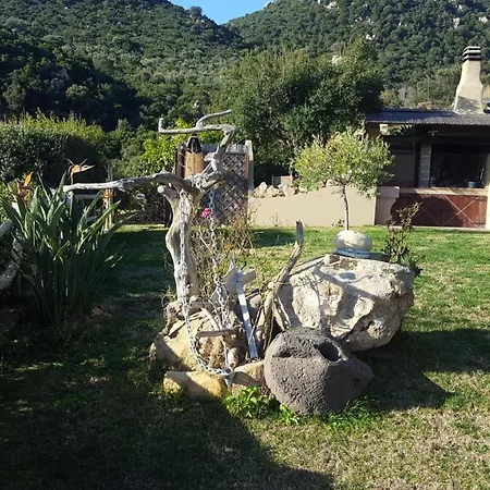 Del Gallo